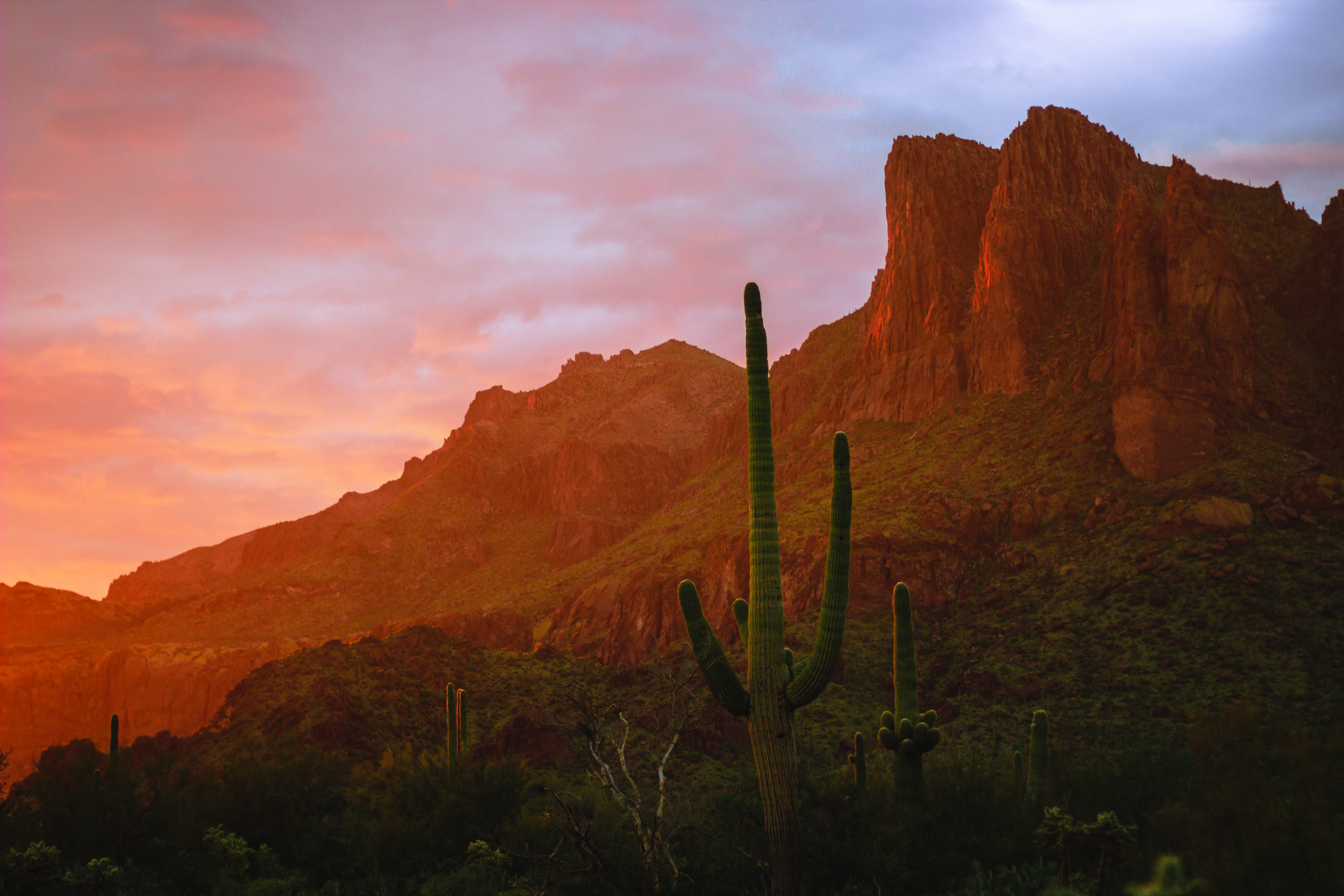 Astrophotographers capturing the Milky Way over desert mountains